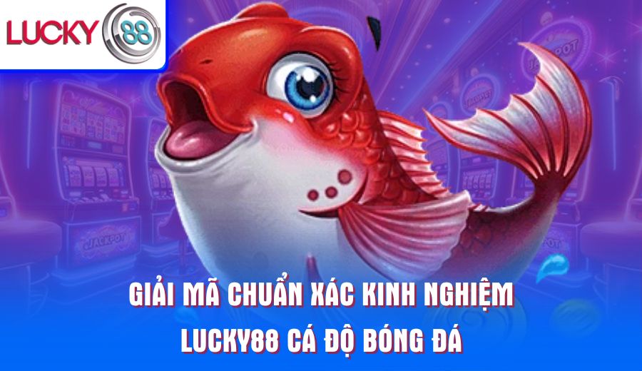 giai-ma-chuan-xac-kinh-nghiem-lucky88-ca-do-bong-da