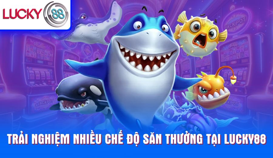 trai-nghiem-nhieu-che-do-san-thuong-tai-lucky88
